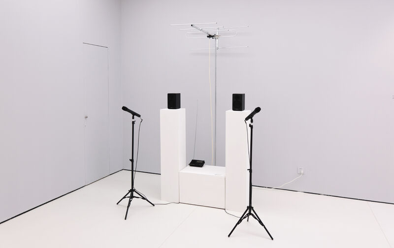 A Theme of Hacking - a Sculpture & Installation by Shan Lyu
